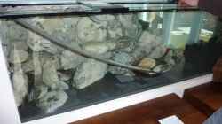 Aquarium Becken 18085