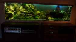 Aquarium Becken 18085
