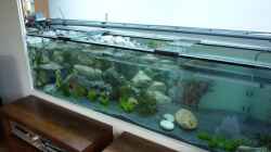 Aquarium Becken 18085