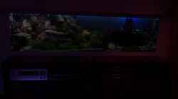 Aquarium Becken 18085