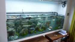 Aquarium Becken 18085