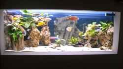mein altes Becken 160x60x60 