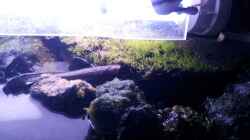 Newbies`s Waterworld