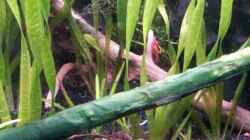 Newbies`s Waterworld