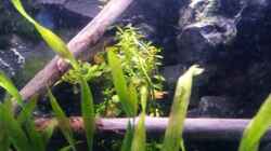 Newbies`s Waterworld
