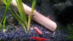 Newbie`s Waterworld