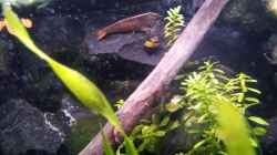 Newbies`s Waterworld