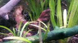 Newbie`s Waterworld