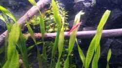 Newbies`s Waterworld