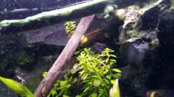 Newbie`s Waterworld