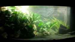 Becken 02.12.2012