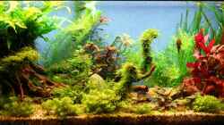 Aquarium Becken 18770