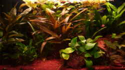 Hauptbild 09.03.2011