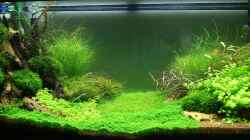 Aquarium Becken 19330