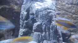 Felsen neu 1