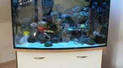 Aquarium meine neuste Sucht!