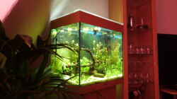 Aquarium Lido 120