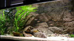 Aquarium Becken 216