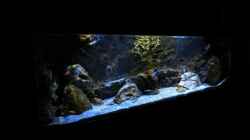 Aquarium Rockzolid Cave (Aufgelöst)
