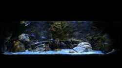 Aquarium Rockzolid Cave (Aufgelöst)