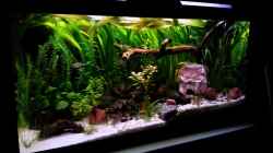 Aquarium Usedom Becken(altes Beispiel)