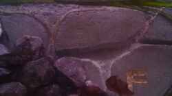 Dekoration im Aquarium Becken 22286