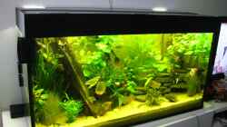 200l Gesellschaftsbecken
