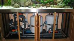 Technik im Aquarium Becken 226