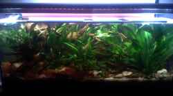 Aquarium Becken 22641
