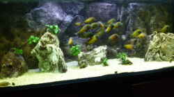 Aquarium Becken 23040 aufgelöst 2019