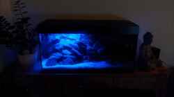 25cm LED Mondlicht