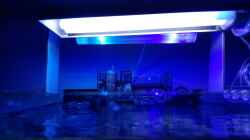 Technik im Aquarium Diud Cube Riff