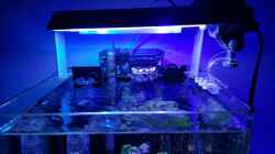 Technik im Aquarium Diud Cube Riff