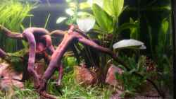 20.09.2012 Rechts