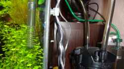 Technik im Aquarium Nano Cube 60 Liter