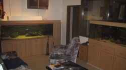 2 von 4 Becken in meinem AQ_Zimmer
