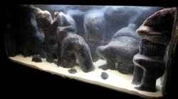 Aquarium 450 Liter Malawi