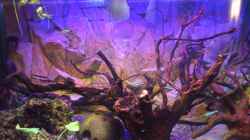 Aquarium klein aber fein