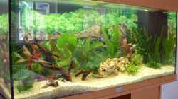 Aquarium Becken 2482