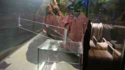 Aquarium Becken 2523