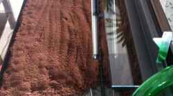 Aquarium Becken 25465