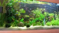 Aquarium Becken 2551