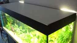 Technik im Aquarium Amazonas im Wohnzimmer
