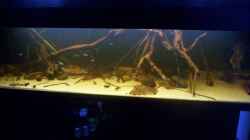 Aquarium Becken 25669