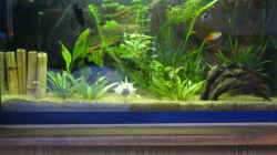 Aquarium