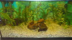 Aquarium 16.03.13