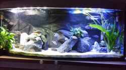 Aquarium Becken 26057