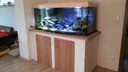 Aquarium mit dem fertigen Unterschrank