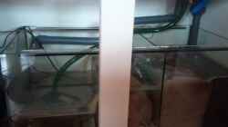 Kammer Bio-Filter mit Pumpe und Heizstab