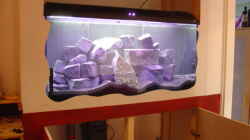 Aquarium Becken 2636